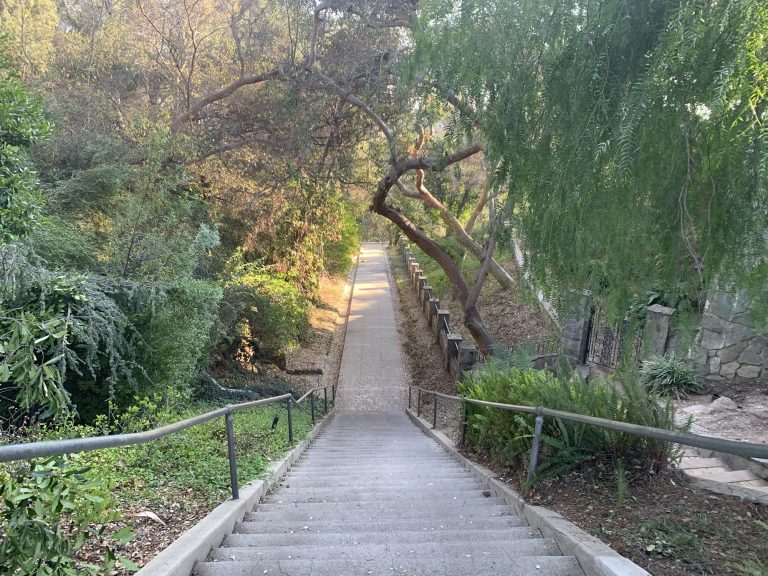 Lacy Park Closed so walked up the staircase to see the nearby neighborhood