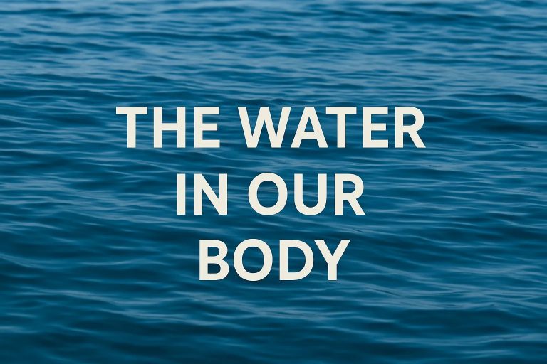 The water in our body comes from everything